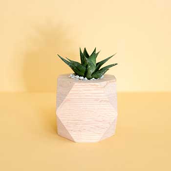 完整功能解锁的DDOS攻击测试