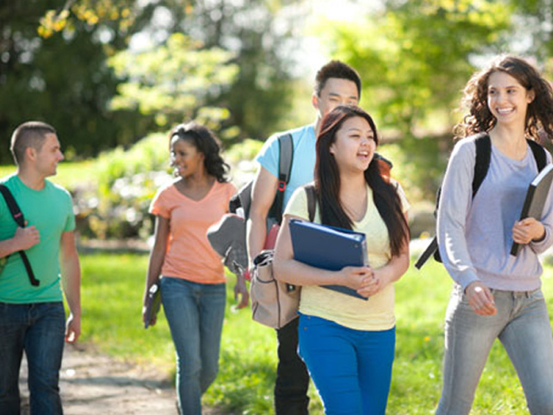 激活平台正规的网站攻击工具手机版